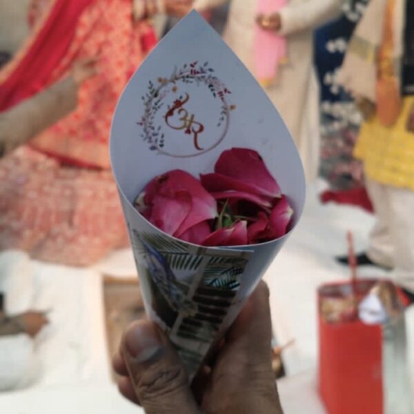 Rose Petal Cones
